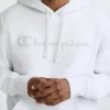 Sweat à capuche Powerblend, Script Logo ton sur ton